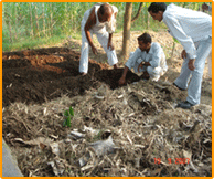 Agriculture Innovation